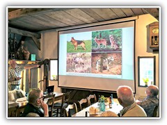 die Unterschiede Wolf -- Hund im Bild