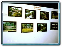 P1230150