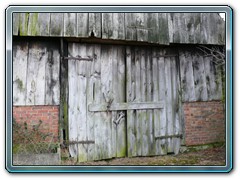 Bild_36