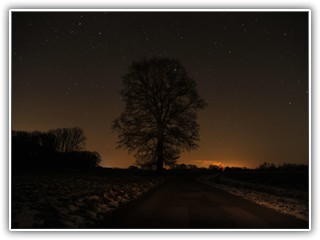 Die Solitäreiche in Steide